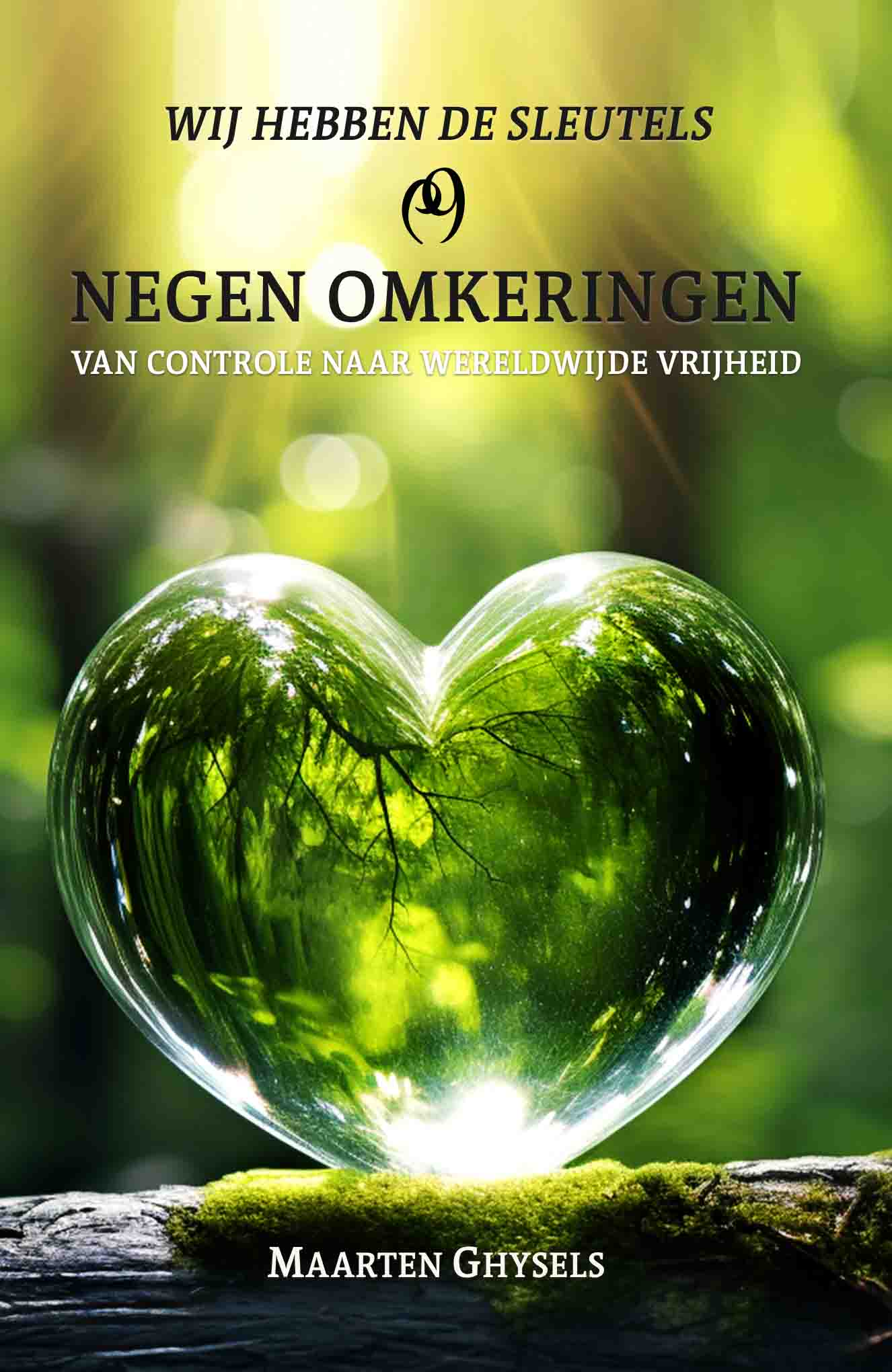 Negen Omkeringen - Maarten Ghysels - ISBN 9789464611670